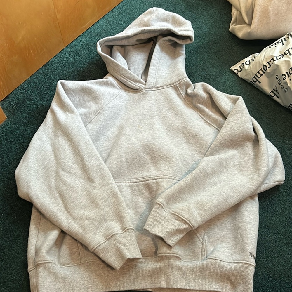 Aritzia Sweatshirt
